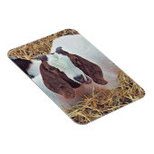 NIEDLICHES ZIEL MAGNET (Rechte Seite)