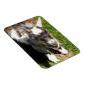 NIEDLICHES ZIEL MAGNET (Rechte Seite)