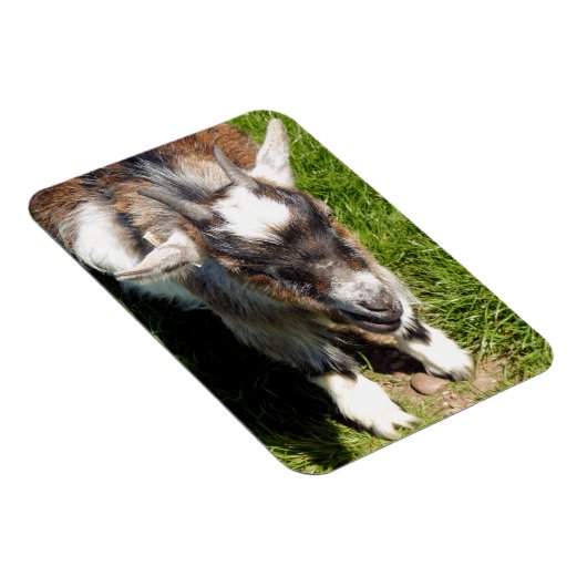 NIEDLICHES ZIEL MAGNET (Rechte Seite)