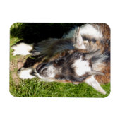 NIEDLICHES ZIEL MAGNET (Horizontal)