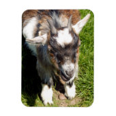 NIEDLICHES ZIEL MAGNET (Vertikal)