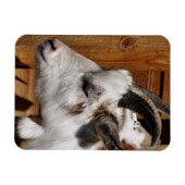 NIEDLICHES ZIEL MAGNET (Horizontal)