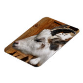 NIEDLICHES ZIEL MAGNET (Linke Seite)