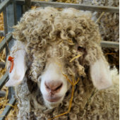 NIEDLICHES ZIEL MOUSEPAD