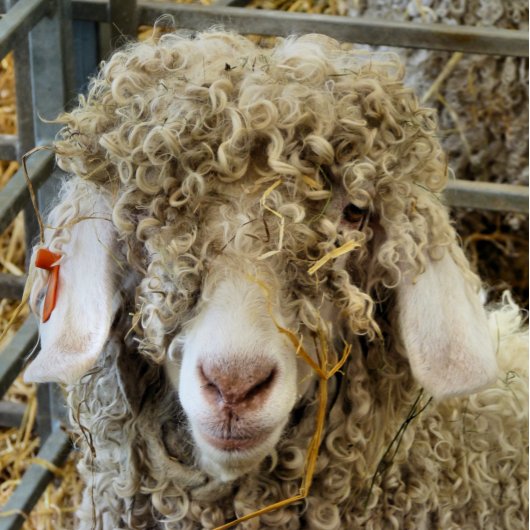 NIEDLICHES ZIEL MOUSEPAD