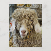 NIEDLICHES ZIEL POSTKARTE (Vorderseite)