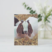 NIEDLICHES ZIEL POSTKARTE (Stehend Vorderseite)