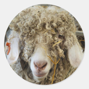 NIEDLICHES ZIEL RUNDER AUFKLEBER