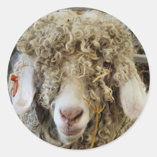 NIEDLICHES ZIEL RUNDER AUFKLEBER (Vorderseite)