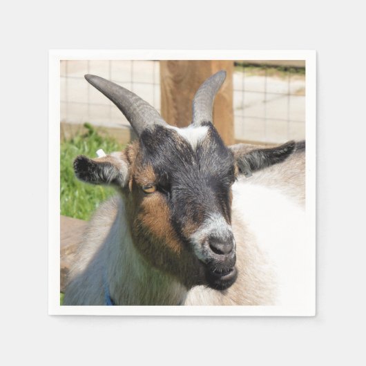 NIEDLICHES ZIEL SERVIETTE (Vorderseite)