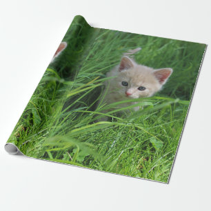 Niedlichkeit Geschenkpapier
