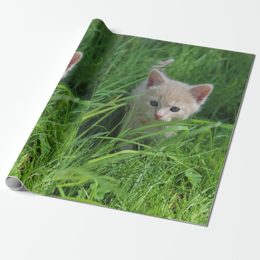 Niedlichkeit Geschenkpapier (Ungerollt)