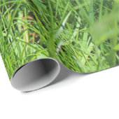 Niedlichkeit Geschenkpapier (Rolleneckpunkt)