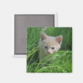 Niedlichkeit Magnet (Vorderseite/Rückseite)