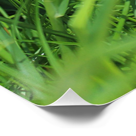 Niedlichkeit Poster (Ecke)