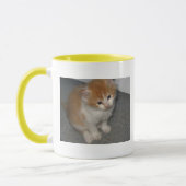 Niedlichste Kätzchen Tasse (Links)