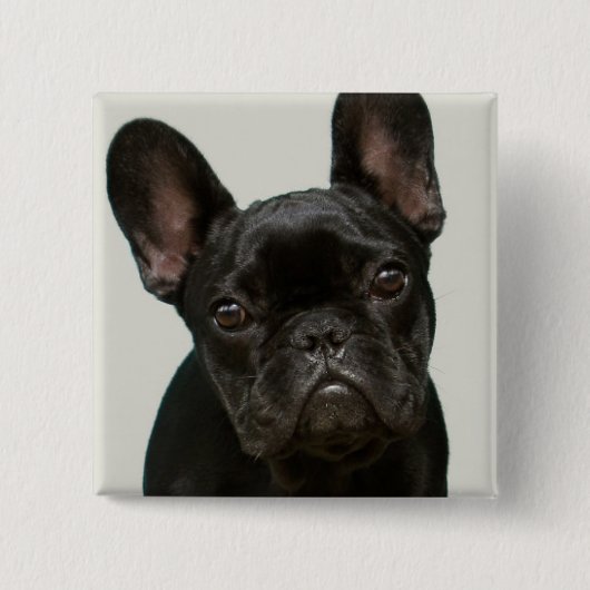 Niedlichster französische Bulldoggen-Welpe Button (Vorderseite)