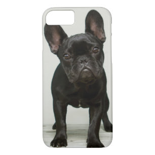 Niedlichster französische Bulldoggen-Welpe Case-Mate iPhone Hülle
