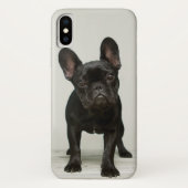 Niedlichster französische Bulldoggen-Welpe Case-Mate iPhone Hülle (Rückseite)