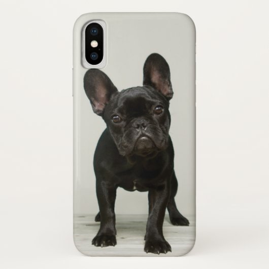 Niedlichster französische Bulldoggen-Welpe Case-Mate iPhone Hülle (Rückseite)
