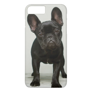 Niedlichster französische Bulldoggen-Welpe Case-Mate iPhone Hülle