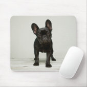 Niedlichster französische Bulldoggen-Welpe Mousepad (Mit Mouse)
