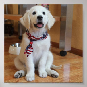 niedlichster Hund im Weltplakat Poster