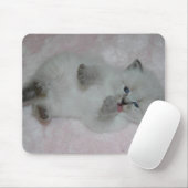 Niedlichstes SibKitten Mousepad - besonders (Mit Mouse)