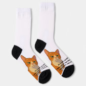 Niedrige Energie, hohe Dichte - die Katzenphilosop Socken (Rechts)
