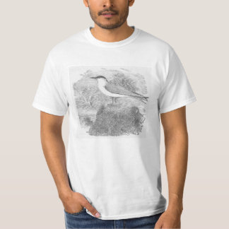 Niedrige Kosten-Seeschwalbe auf einem T-Shirt