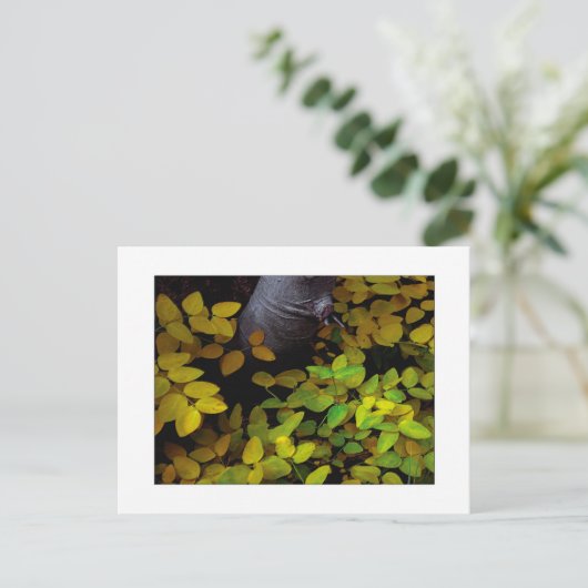 "Niedrigster Leaf" Postkarte (Stehend Vorderseite)