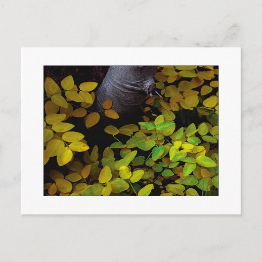 "Niedrigster Leaf" Postkarte (Vorderseite)