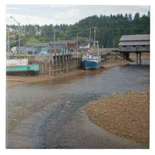 Niedrigwasser an der Bay of Fundy in St. Martins, Fliese