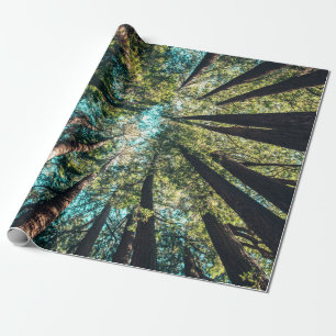 Niedrigwinkelfotografie von Bäumen tagsüber Geschenkpapier