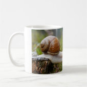 NIEMALS AUFGEBEN - Schneckenausgabe Kaffeetasse (Links)