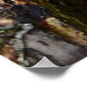 NIEMALS AUFGEBEN - Schneckenausgabe Poster (Ecke)