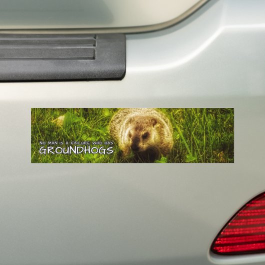 Niemand ist ein Versager, der Groundhogs hat Autoaufkleber (Auf Auto)