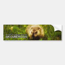 Niemand ist ein Versager, der Groundhogs hat
