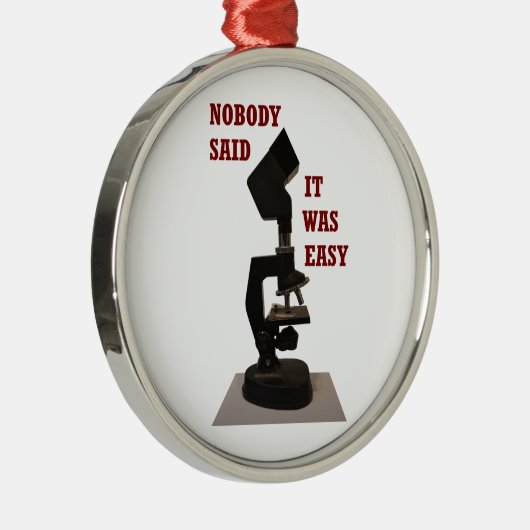 Niemand sagte, es sei einfach silbernes ornament (Rechts)