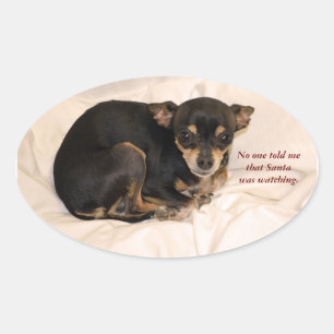 Niemand sagte mir, dass der Weihnachtsmann zusah. Ovaler Aufkleber