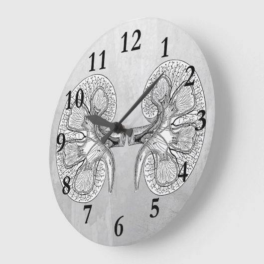 NIERE 2 ZEICHNEND GROßE WANDUHR (Winkel)