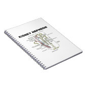 Niere Nephron (Gray's Anatomy Lehrbuch) Notizblock (Rechte Seite)