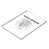 Niere Nephron (Gray's Anatomy Lehrbuch) Notizblock (Linke Seite)