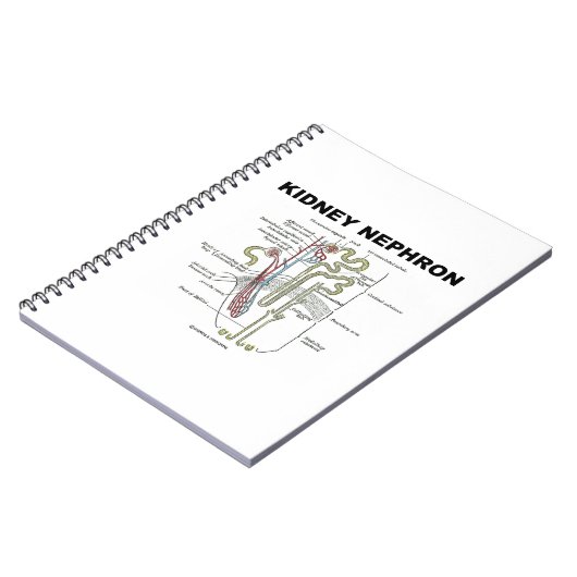 Niere Nephron (Gray's Anatomy Lehrbuch) Notizblock (Linke Seite)