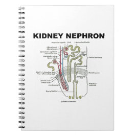 Niere Nephron (Gray's Anatomy Lehrbuch) Notizblock