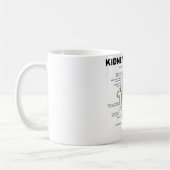 Niere Nephron Kaffeetasse (Links)
