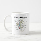 Niere Nephron Kaffeetasse (Links)