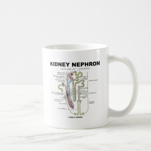 Niere Nephron Kaffeetasse