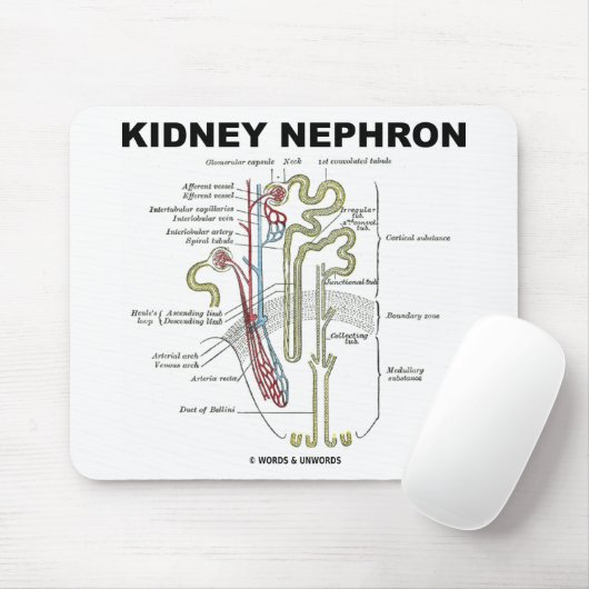 Niere Nephron Mousepad (Mit Mouse)