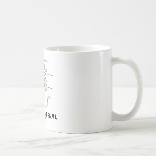 Nieren gerade seiend (Niere Nephron) Kaffeetasse (Rechts)